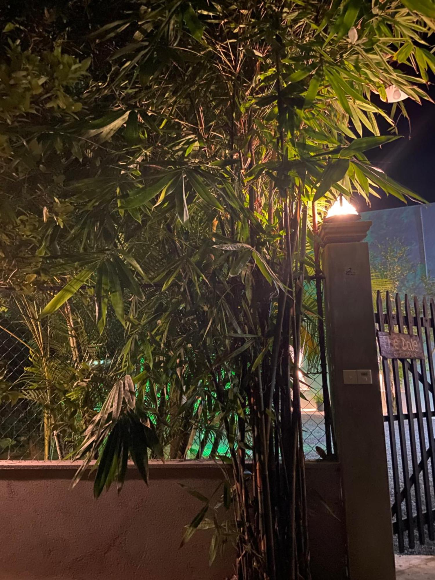 The Dale Mirissa Hotel Exterior photo